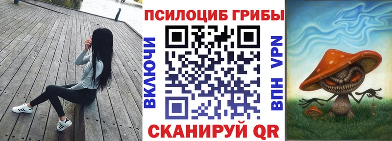 Псилоцибиновые грибы ЛСД  купить закладку  shop наркотические препараты  Пестово 